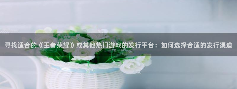 新宝GG电商怎么样：寻找适合的《王者荣耀》或其他热门游戏的发行平台：如何选择合适的发行渠道