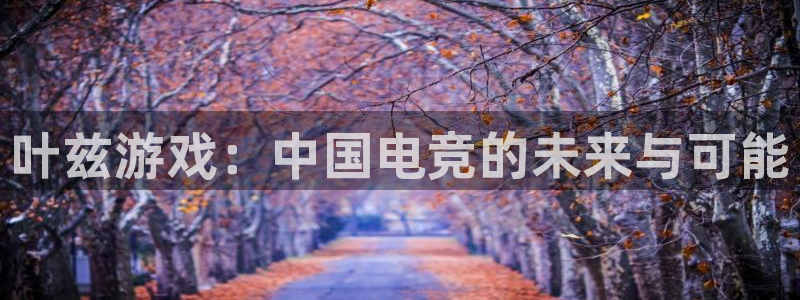 深圳市新宝GG科技有限招聘公司