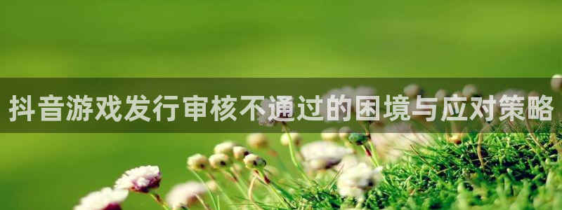 新宝GG服装分店有几家：抖音游戏发行审核不通过的困境与应对策略