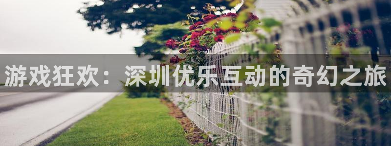 新宝GG实业投资(东莞)有限公司：游戏狂欢：深圳优乐互动的奇幻之旅