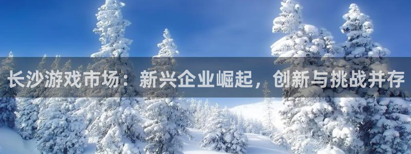 广州新宝GG投资：长沙游戏市场：新兴企业崛起，创新与挑战并存