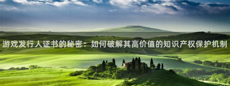 作者新宝GG子小说：游戏发行人证书的秘密：如何破解其高价值的知识产权保护机制