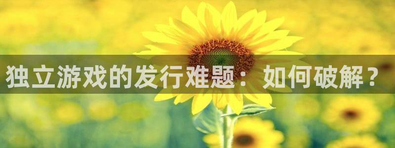 广东新宝GG营销策划有限公司：独立游戏的发行难题：如何破解？
