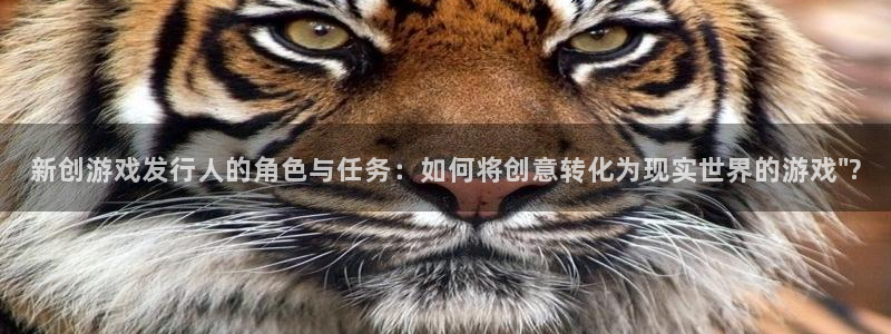新宝GG官网客服服务电话号码：新创游戏发行人的角色与任务：如何将创意转化为现实世界的游戏\