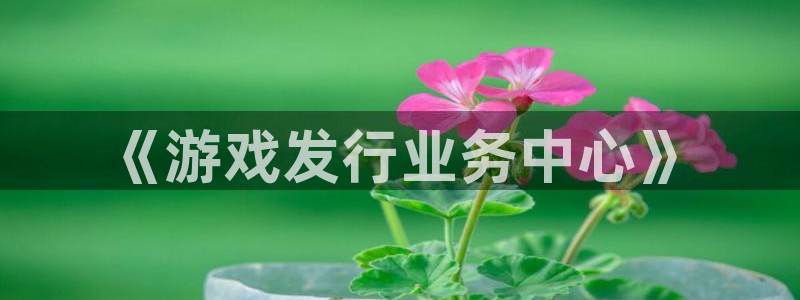 新宝GG子文化游戏：《游戏发行业务中心》