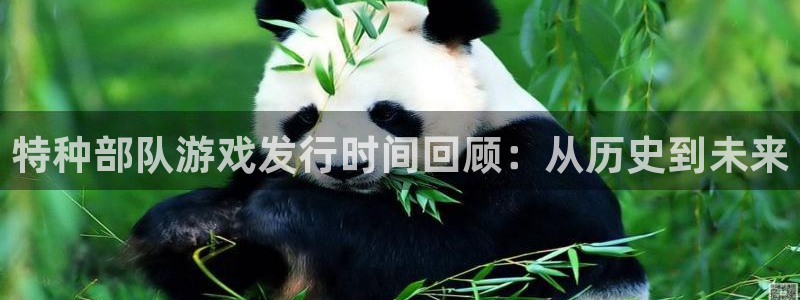 新宝GG集团是什么企业：特种部队游戏发行时间回顾：从历史到未来