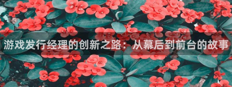 陕西新宝GG子文化创意是干什么的：游戏发行经理的创新之路：从幕后到前台的故事