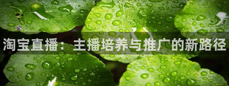 劲爆体育nba新闻