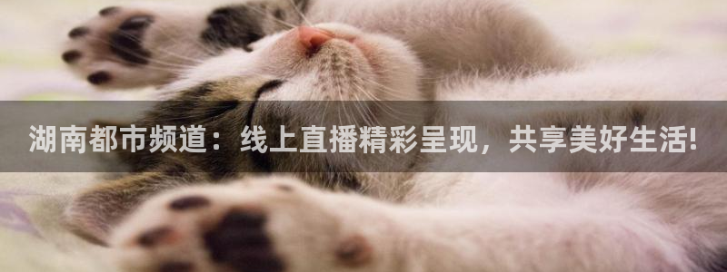 劲爆体育比赛直播