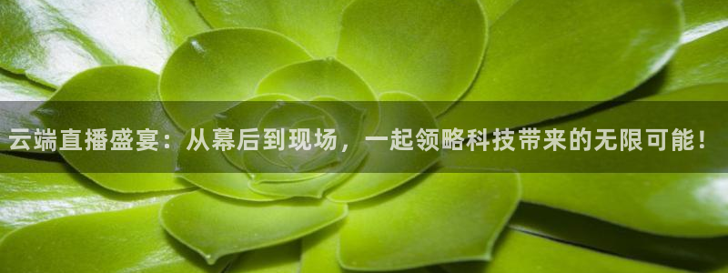 劲爆体育视频直播