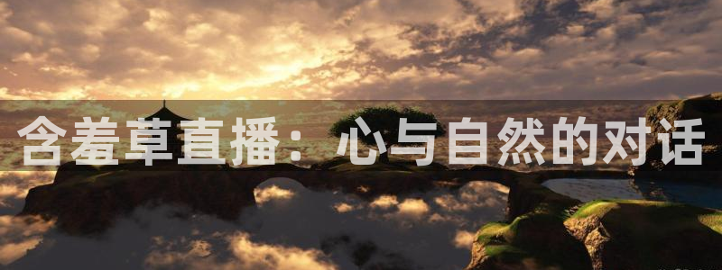 劲爆体育nba在线直播观看高清：含羞草直播：心与自然的对话