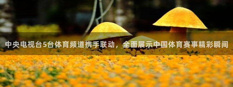 劲爆体育节目表直播：中央电视台5台体育频道携手联动，全面展示中国体育赛事精彩瞬间