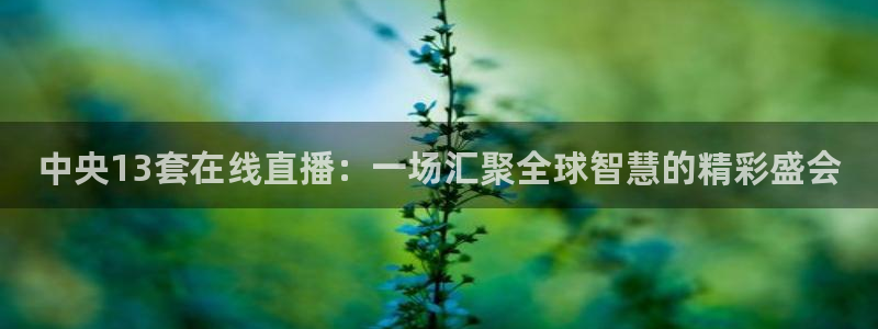 劲爆体育节目表在线观看：中央13套在线直播：一场汇聚全球智慧的精彩盛会