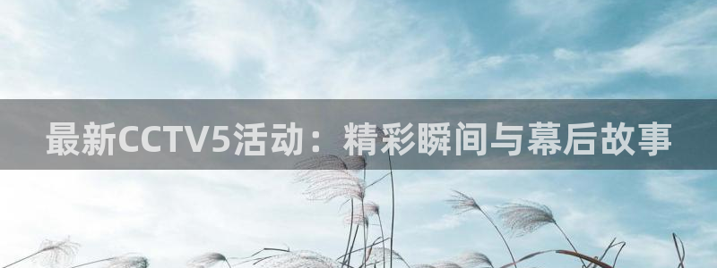 劲爆体育篮球直播：最新CCTV5活动：精彩瞬间与幕后故事
