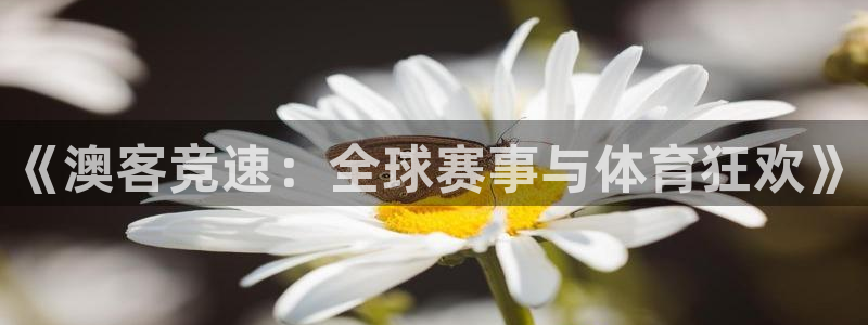 劲爆体育在线直播nba直播