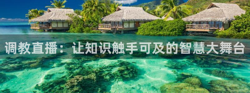 劲爆体育直播免费观看完整版