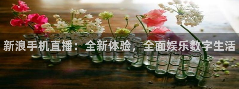 劲爆体育在线直播nba高清观看：新浪手机直播：全新体验，全面娱乐数字生活
