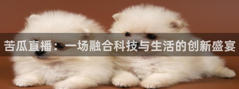 劲爆体育在线直播nba