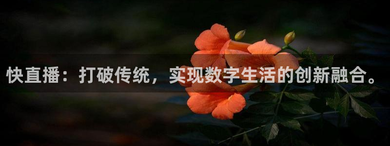 劲爆体育电视台直播