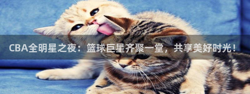 劲爆体育节目表在线观看