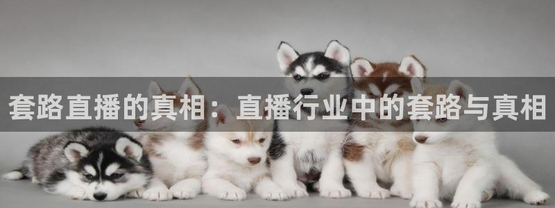 劲爆体育nba直播在线观看免费：套路直播的真相：直播行业中的套路与真相
