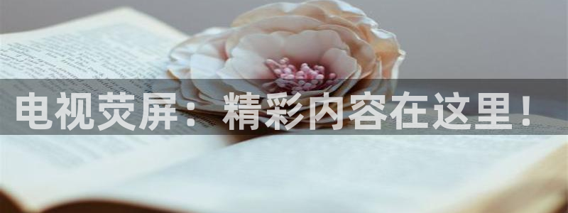 nba在线高清 劲爆体育：电视荧屏：精彩内容在这里！